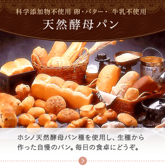 天然酵母パン